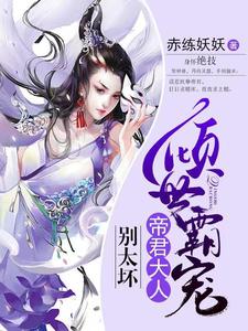《黎云栖黎小小季天奇》小说
