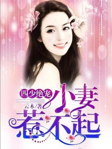 《叶景睿蓝璃茉宫月琳于姚》小说