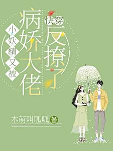 《江念顾华纪辞江晚》小说