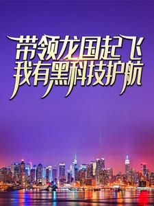 《苏铭张素》小说