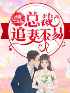 《娇妻太全能，总裁追妻不易》纪辰凌白汐陈慧