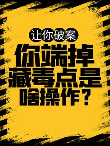 《沈洲魏南正》小说