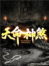 《薛金贵李莫愁袁天罡》小说