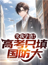 《林凡张国强江河王天一》小说