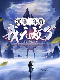《吴鹏陆岚》小说
