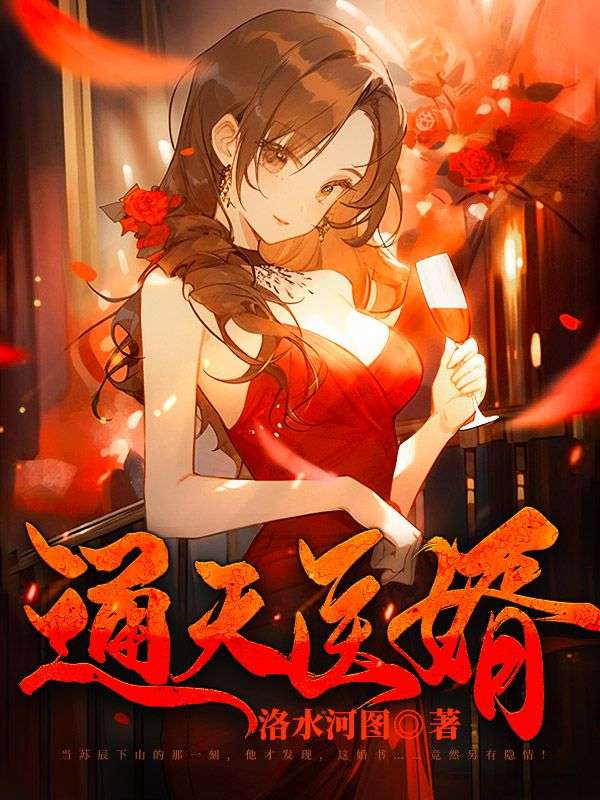 《苏辰天玄子雷老虎马如云》小说