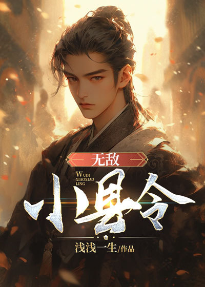 《无敌小县令》江城平阳公主赵顾言李文斌